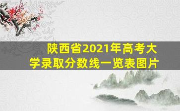 陕西省2021年高考大学录取分数线一览表图片