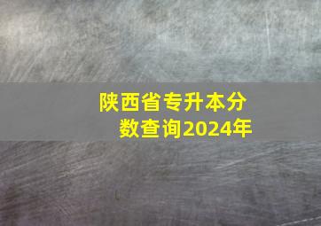 陕西省专升本分数查询2024年