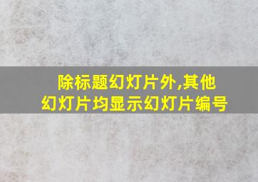 除标题幻灯片外,其他幻灯片均显示幻灯片编号