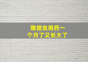 隐翅虫用药一个月了又长大了