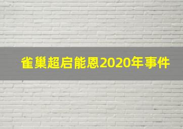 雀巢超启能恩2020年事件