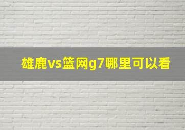 雄鹿vs篮网g7哪里可以看