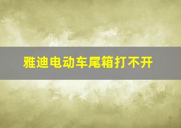 雅迪电动车尾箱打不开