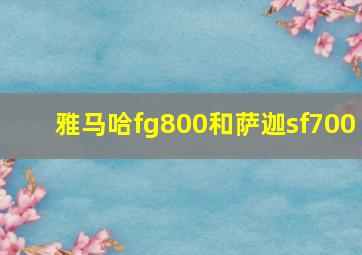 雅马哈fg800和萨迦sf700