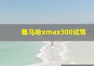 雅马哈xmax300试驾