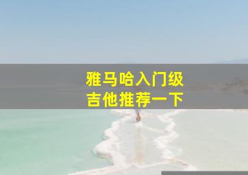 雅马哈入门级吉他推荐一下