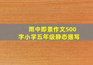 雨中即景作文500字小学五年级静态描写