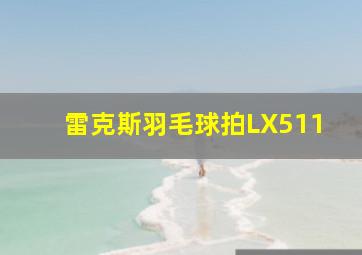 雷克斯羽毛球拍LX511