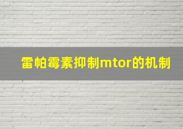 雷帕霉素抑制mtor的机制