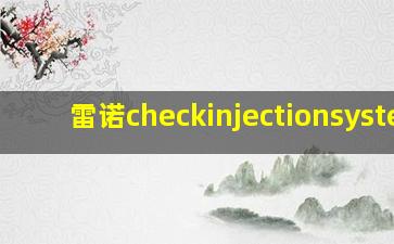 雷诺checkinjectionsystem