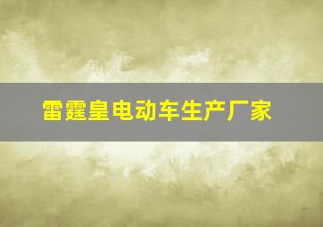 雷霆皇电动车生产厂家