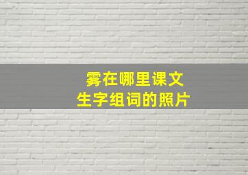 雾在哪里课文生字组词的照片