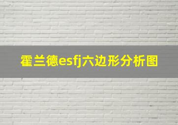 霍兰德esfj六边形分析图