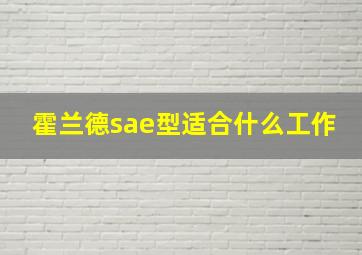 霍兰德sae型适合什么工作