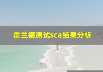 霍兰德测试sca结果分析