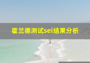 霍兰德测试sei结果分析