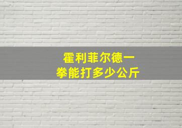 霍利菲尔德一拳能打多少公斤