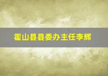 霍山县县委办主任李辉