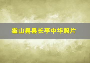 霍山县县长李中华照片