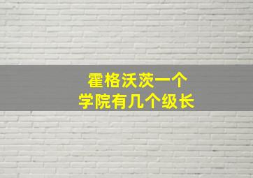 霍格沃茨一个学院有几个级长