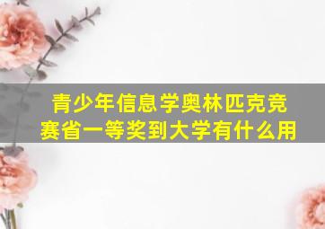 青少年信息学奥林匹克竞赛省一等奖到大学有什么用