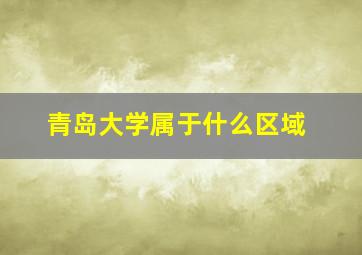 青岛大学属于什么区域