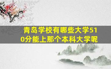 青岛学校有哪些大学510分能上那个本科大学呢