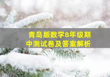 青岛版数学8年级期中测试卷及答案解析