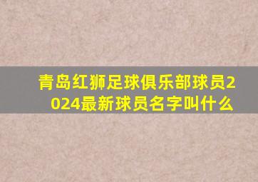 青岛红狮足球俱乐部球员2024最新球员名字叫什么