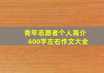 青年志愿者个人简介600字左右作文大全