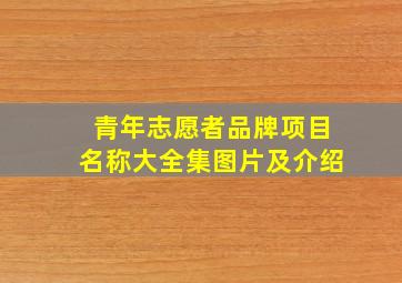 青年志愿者品牌项目名称大全集图片及介绍