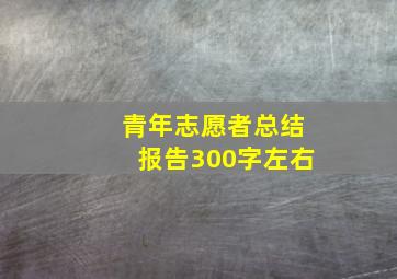 青年志愿者总结报告300字左右