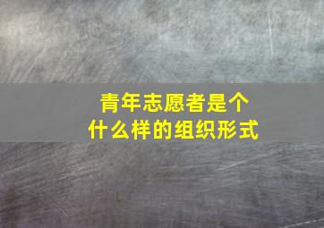 青年志愿者是个什么样的组织形式