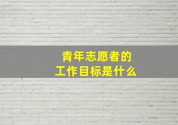 青年志愿者的工作目标是什么