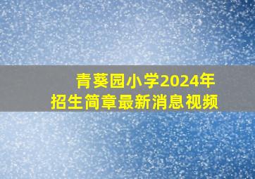 青葵园小学2024年招生简章最新消息视频