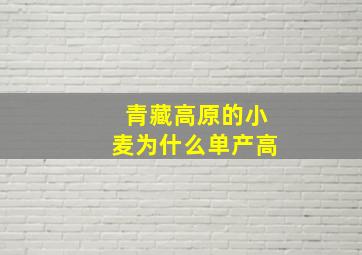 青藏高原的小麦为什么单产高