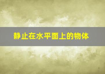 静止在水平面上的物体