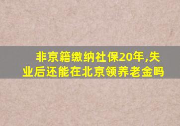 非京籍缴纳社保20年,失业后还能在北京领养老金吗