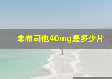 非布司他40mg是多少片