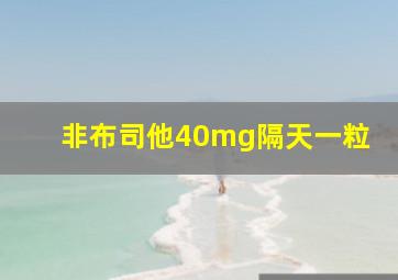 非布司他40mg隔天一粒