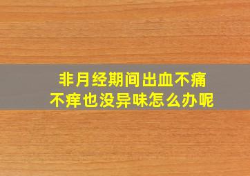 非月经期间出血不痛不痒也没异味怎么办呢