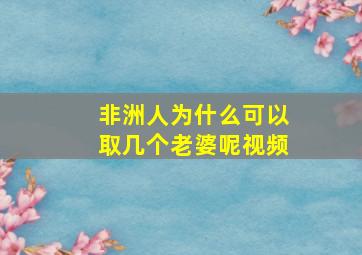 非洲人为什么可以取几个老婆呢视频