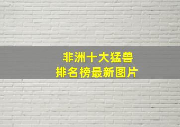 非洲十大猛兽排名榜最新图片