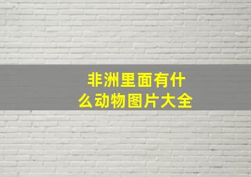 非洲里面有什么动物图片大全