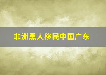 非洲黑人移民中国广东