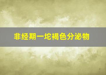 非经期一坨褐色分泌物