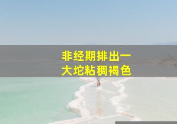 非经期排出一大坨粘稠褐色