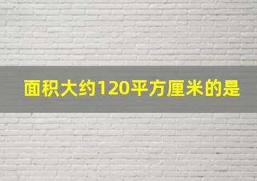 面积大约120平方厘米的是