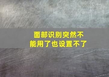 面部识别突然不能用了也设置不了