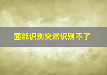 面部识别突然识别不了